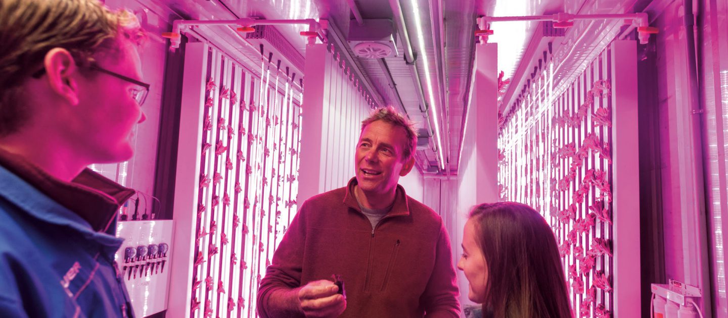 Natural sciences professor Mark Green in the freight farm with 2 students showing them hydroponically-grown lettuce seedlings