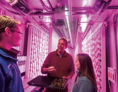 Natural sciences professor Mark Green in the freight farm with 2 students showing them hydroponically-grown lettuce seedlings