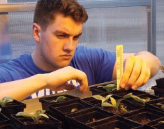 Tyler Barrows measures seedling growth