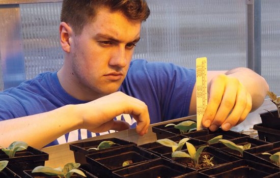 Tyler Barrows measures seedling growth