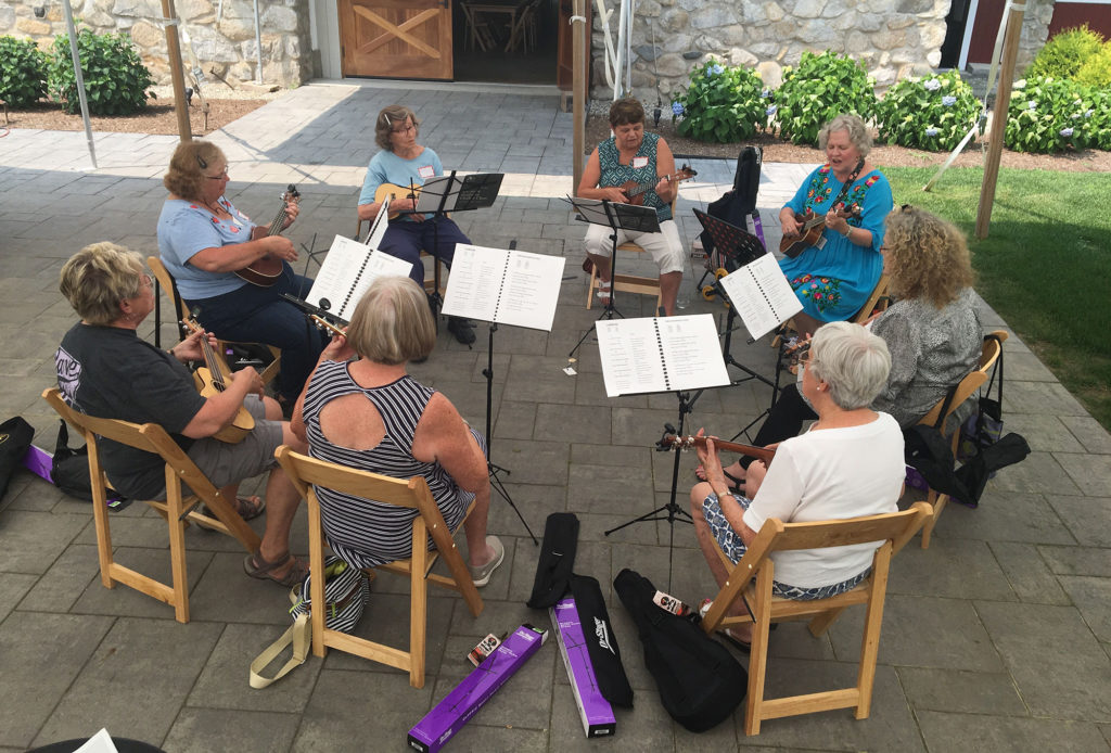 group of ladies in the ukuleles class - full size